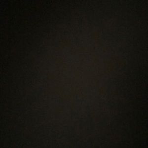 Meet your Posher, Eva